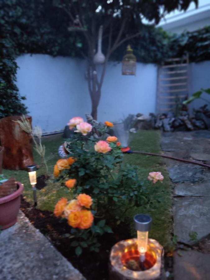 Modern Apartment Near Airport, Port & Beach Nea Alikarnassos Ngoại thất bức ảnh